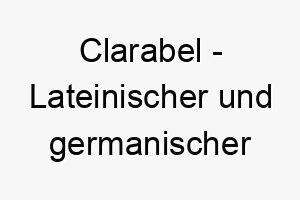 clarabel lateinischer und germanischer ursprung bedeutet helles schoenes bedeutung als hundename fuer einen hellen schoenen hund 13484