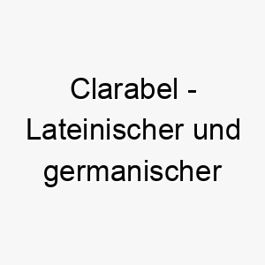 clarabel lateinischer und germanischer ursprung bedeutet helles schoenes bedeutung als hundename fuer einen hellen schoenen hund 13484