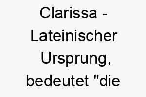 clarissa lateinischer ursprung bedeutet die beruehmte bedeutung als hundename fuer einen auffaelligen bekannten hund 13553