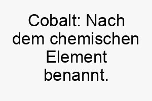 cobalt nach dem chemischen element benannt ideal fuer einen blau grauen hund oder einen hund mit markanten strahlenden augen 17939