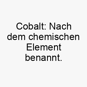 cobalt nach dem chemischen element benannt ideal fuer einen blau grauen hund oder einen hund mit markanten strahlenden augen 17939