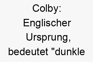 colby englischer ursprung bedeutet dunkle siedlung koennte fuer einen dunkelfarbigen hund passen 17690