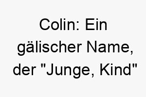 colin ein gaelischer name der junge kind bedeutet passend fuer einen jungen oder kinderlieben hund 17899