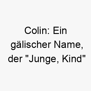 colin ein gaelischer name der junge kind bedeutet passend fuer einen jungen oder kinderlieben hund 17899