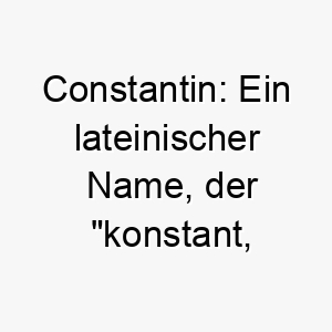 constantin ein lateinischer name der konstant bestaendig bedeutet passend fuer einen zuverlaessigen bestaendigen hund 17713