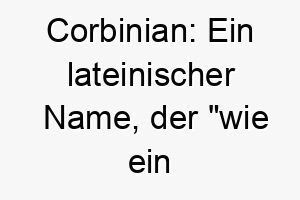 corbinian ein lateinischer name der wie ein rabe bedeutet ideal fuer einen schwarzen oder mysterioesen hund 17930