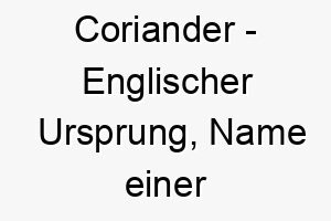 coriander englischer ursprung name einer pflanze bedeutung als hundename fuer einen duftenden attraktiven hund 13588