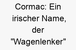 cormac ein irischer name der wagenlenker bedeutet ideal fuer einen aktiven energiegeladenen hund 17923