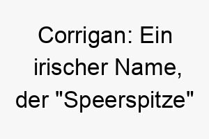 corrigan ein irischer name der speerspitze bedeutet passend fuer einen mutigen kriegerischen hund 17920