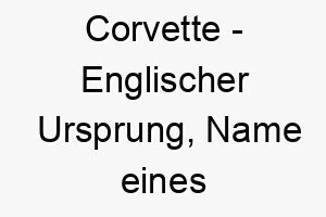 corvette englischer ursprung name eines sportwagens bedeutung als hundename fuer einen schnellen energischen hund 13584