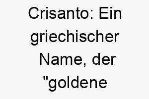 crisanto ein griechischer name der goldene blume bedeutet passend fuer einen schoenen auffaelligen hund 17924