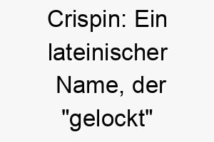 crispin ein lateinischer name der gelockt bedeutet ideal fuer einen lockigen hund 17700