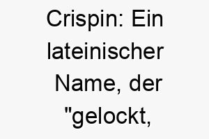 crispin ein lateinischer name der gelockt gewellt bedeutet passend fuer einen hund mit lockigem fell 17888