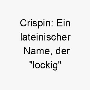 crispin ein lateinischer name der lockig bedeutet passend fuer einen hund mit lockigem fell 17897