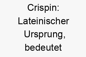 crispin lateinischer ursprung bedeutet gelockt gut fuer einen hund mit lockigem fell 17677