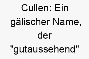 cullen ein gaelischer name der gutaussehend bedeutet ideal fuer einen attraktiven hund 17697