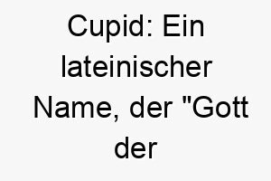 cupid ein lateinischer name der gott der liebe bedeutet perfekt fuer einen besonders liebevollen und zaertlichen hund 17948