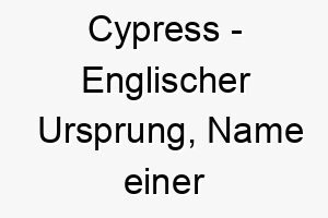 cypress englischer ursprung name einer baumart bedeutung als hundename fuer einen starken robusten hund 13359