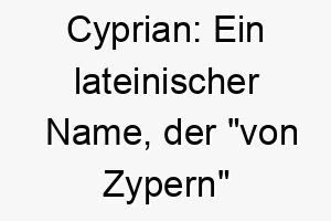 cyprian ein lateinischer name der von zypern bedeutet ideal fuer einen hund mit mediterranen wurzeln oder fuer einen hund der das wasser liebt 17919