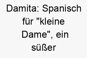 damita spanisch fuer kleine dame ein suesser name fuer einen kleinen weiblichen hund 1268