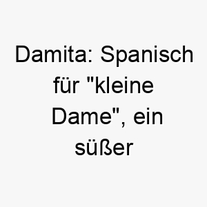 damita spanisch fuer kleine dame ein suesser name fuer einen kleinen weiblichen hund 1268