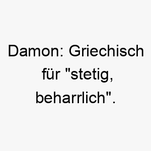 damon griechisch fuer stetig beharrlich geeignet fuer einen hund der seine ziele verfolgt 17968