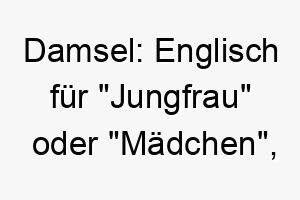 damsel englisch fuer jungfrau oder maedchen ein klassischer name fuer einen schoenen hund 1264