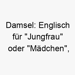 damsel englisch fuer jungfrau oder maedchen ein klassischer name fuer einen schoenen hund 1264