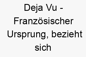 deja vu franzoesischer ursprung bezieht sich auf ein gefuehl eine situation schon einmal erlebt zu haben bedeutung als hundename fuer einen mysterioesen faszinierenden hund 13731