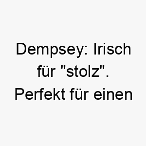 dempsey irisch fuer stolz perfekt fuer einen stolzen selbstbewussten hund 17994