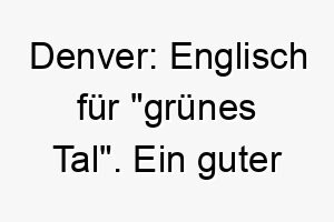 denver englisch fuer gruenes tal ein guter name fuer einen hund der die natur liebt 17969