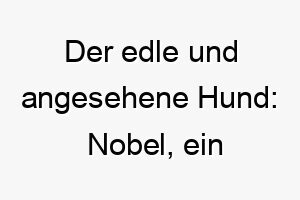 der edle und angesehene hund nobel ein wuerdevoller name fuer einen stolzen vierbeiner 23133