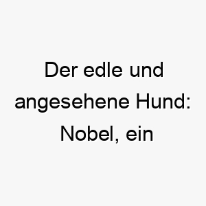 der edle und angesehene hund nobel ein wuerdevoller name fuer einen stolzen vierbeiner 23133