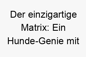 der einzigartige matrix ein hunde genie mit verblueffender intelligenz 22884