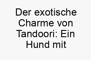 der exotische charme von tandoori ein hund mit einzigartiger persoenlichkeit 26459