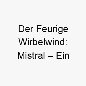 der feurige wirbelwind mistral ein kraftvoller name fuer leidenschaftliche hunde 22827