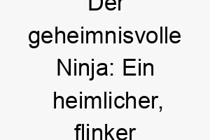 der geheimnisvolle ninja ein heimlicher flinker freund 23092