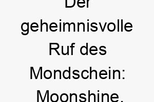 der geheimnisvolle ruf des mondschein moonshine ein funkelnder name fuer einen naechtlichen vierbeiner 22821