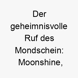 der geheimnisvolle ruf des mondschein moonshine ein funkelnder name fuer einen naechtlichen vierbeiner 22821