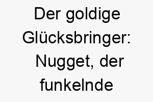 der goldige gluecksbringer nugget der funkelnde juwel unter den hundchen 23227