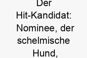 der hit kandidat nominee der schelmische hund der alle mit seiner einzigartigkeit verzaubert 23121