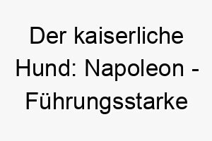 der kaiserliche hund napoleon fuehrungsstarke power auf vier pfoten 23089