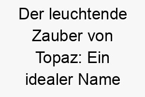 der leuchtende zauber von topaz ein idealer name fuer einen hund mit strahlendem fell und funkeln in den augen 26487