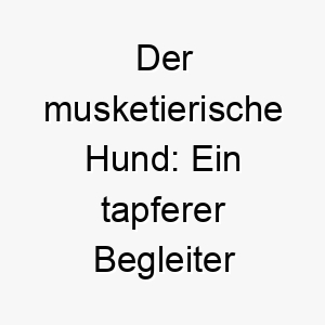 der musketierische hund ein tapferer begleiter in abenteuern 22862