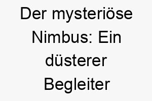 der mysterioese nimbus ein duesterer begleiter mit lateinischem namen 23101