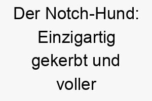 der notch hund einzigartig gekerbt und voller charme 23117