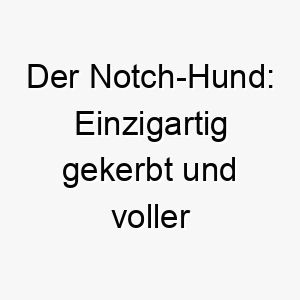 der notch hund einzigartig gekerbt und voller charme 23117