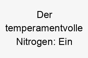 der temperamentvolle nitrogen ein wissenschaftlicher name fuer aktive hunde 23283