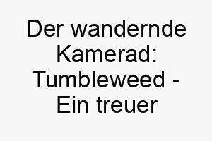 der wandernde kamerad tumbleweed ein treuer weggefaehrte der natur 26449