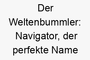 der weltenbummler navigator der perfekte name fuer einen abenteuerlustigen hund 23198